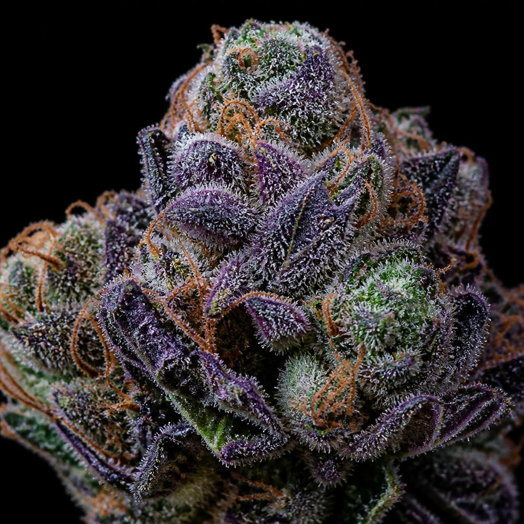 Reference photograph of Berry White